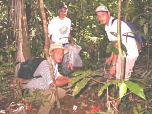 Photo: Collecting pitfall traps